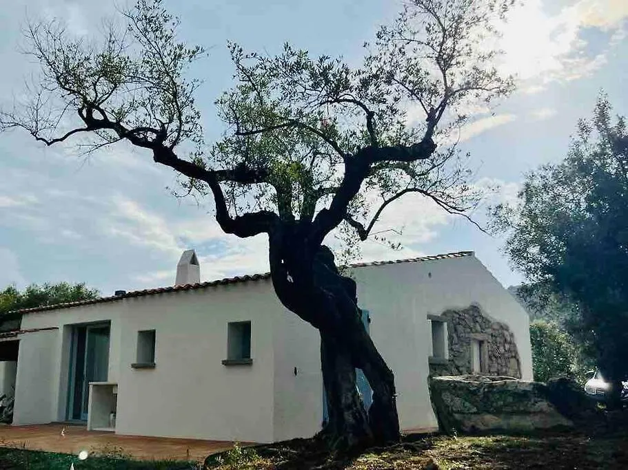 Autentico Stazzo Gallurese Del 1907 Porto Rotondo