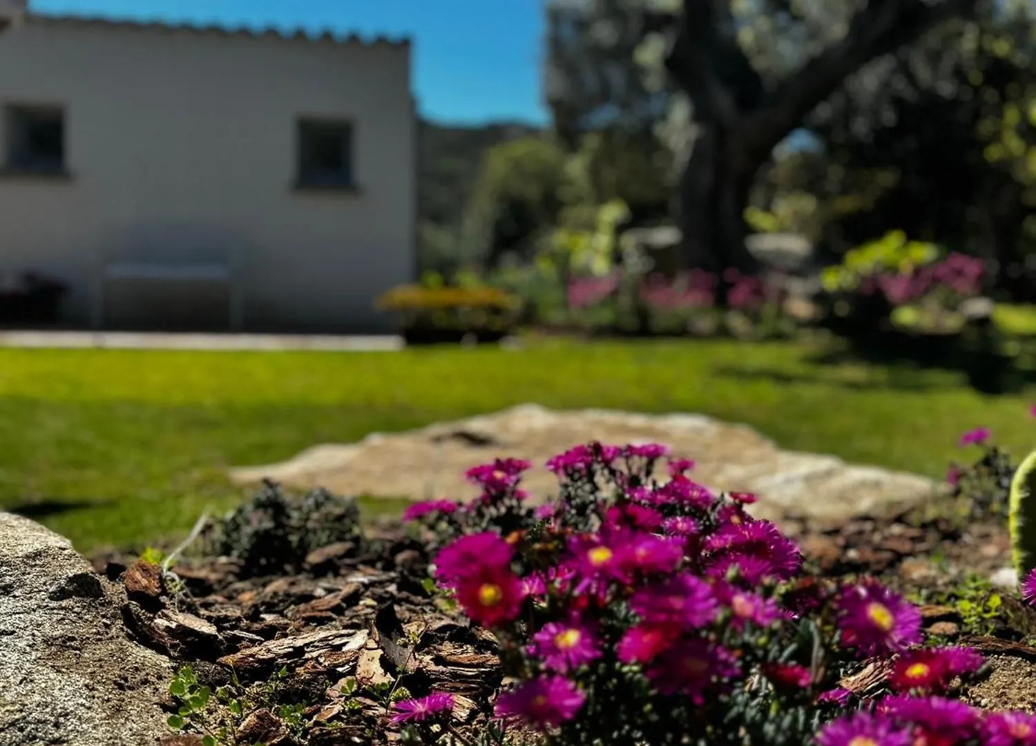 Holiday home Autentico Stazzo Gallurese Del 1907 Porto Rotondo Italy