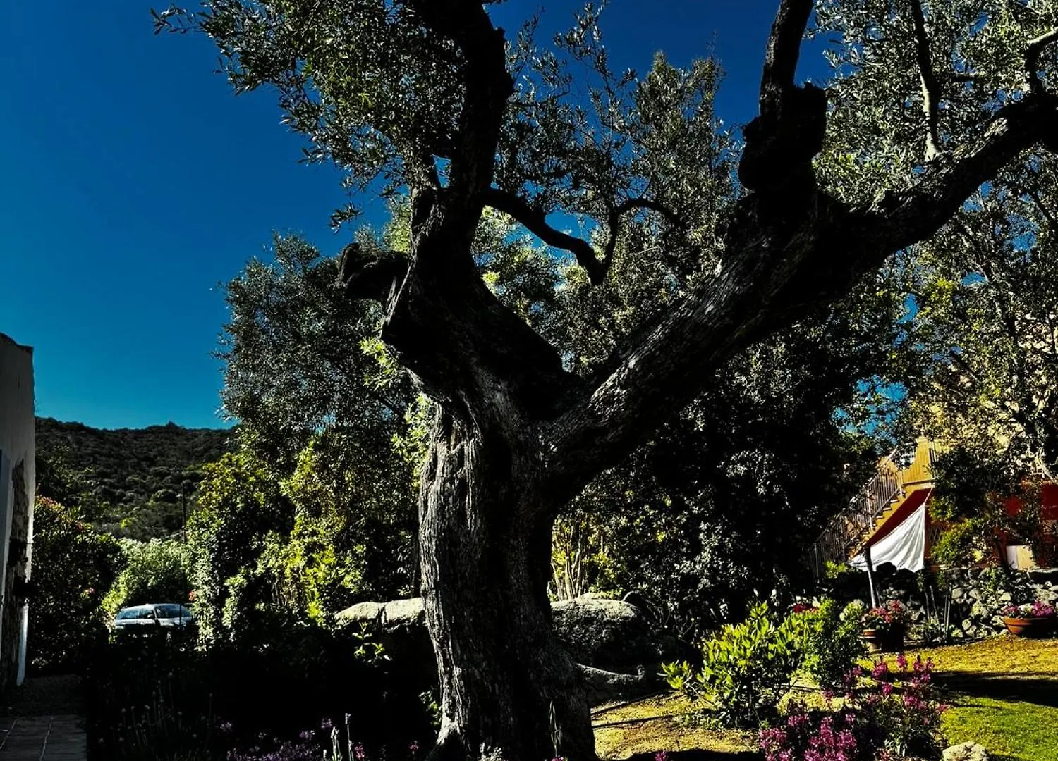 Autentico Stazzo Gallurese Del 1907 Porto Rotondo